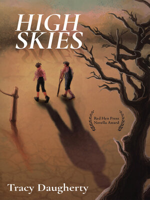 cover image of High Skies